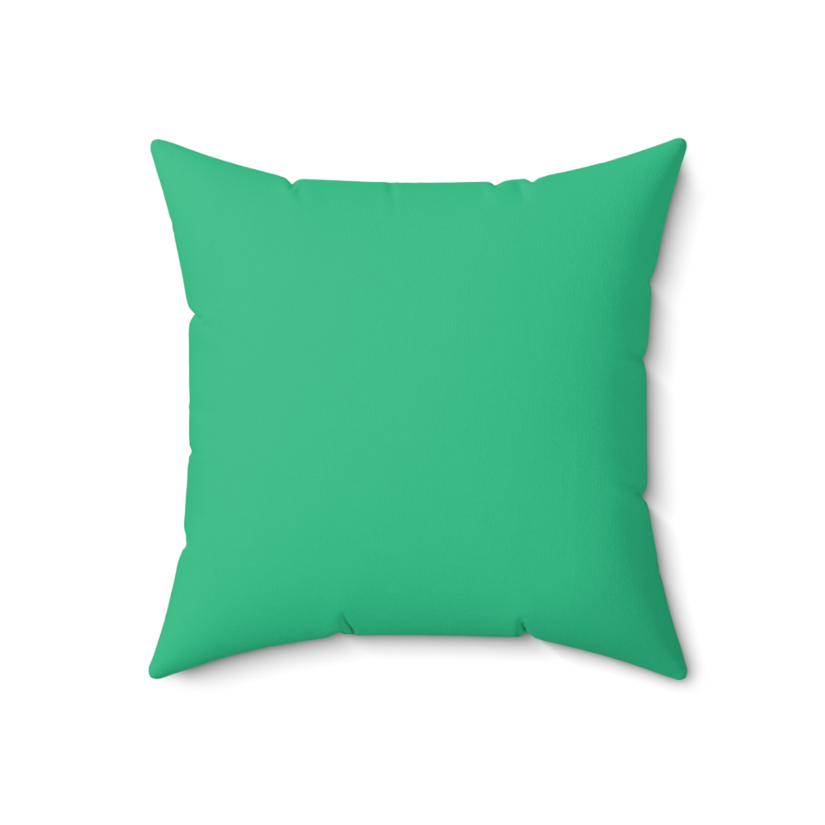 Empowerment Pillow - Image 11